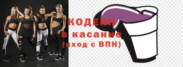 гашик Коряжма