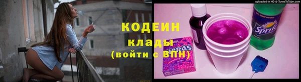 PSILOCYBIN Корсаков