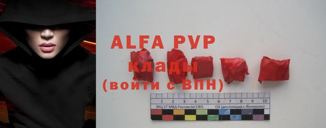 гашик Коряжма