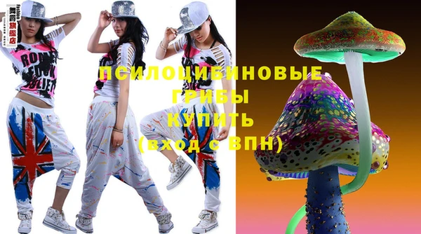 гашик Коряжма