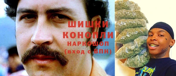 PSILOCYBIN Корсаков