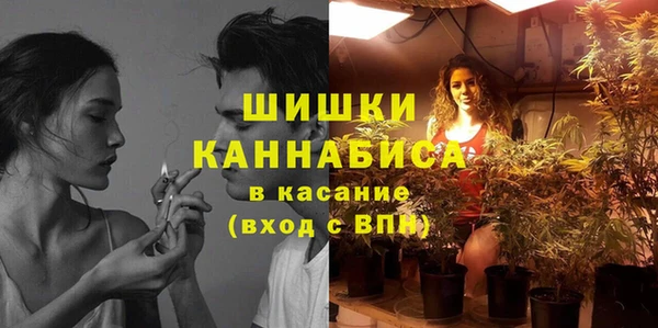 гашик Коряжма