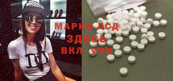 PSILOCYBIN Корсаков