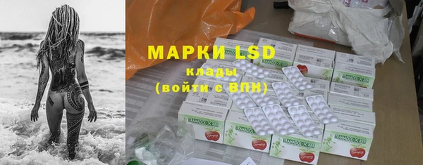 гашик Коряжма