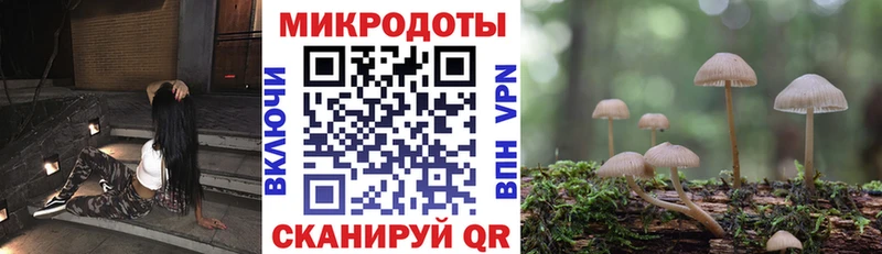 Купить  Короча  Галлюциногенные грибы мухоморы 