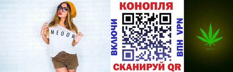 Купить где  Короча  Бошки Шишки марихуана 